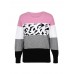 Women Color Block   Leopard Round Neck Long Sleeve Casual Sweaters